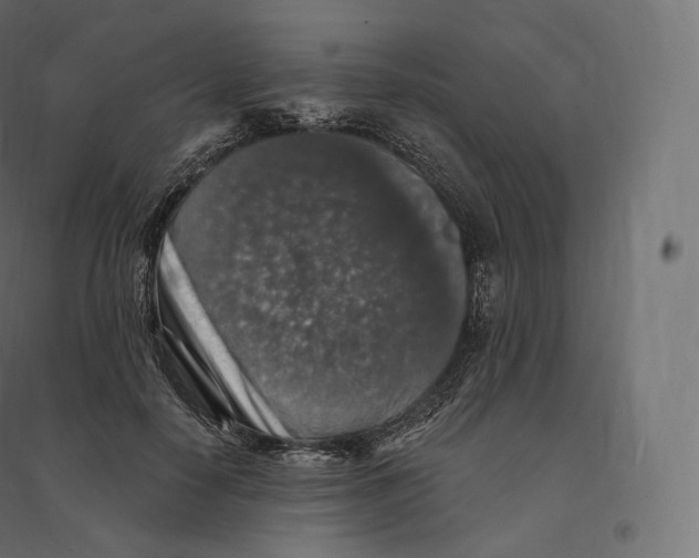 X0000094380650200711242023