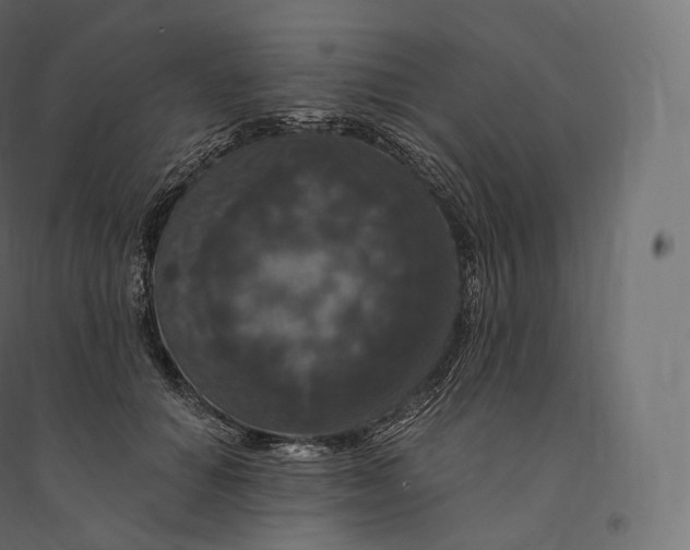 X0000094380654200711242023