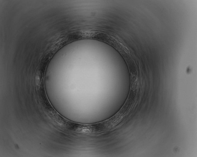 X0000094380655200711242023