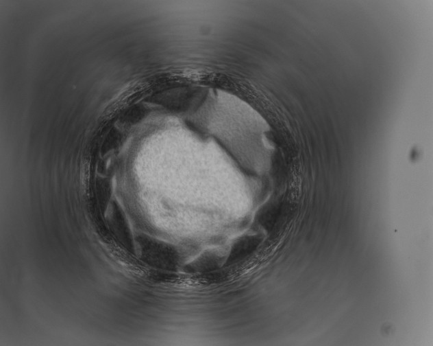 X0000094380656200711242023