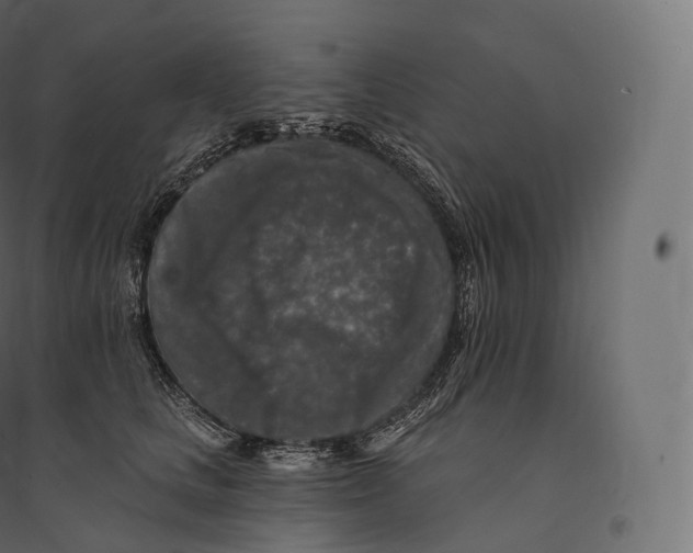 X0000094380661200711242023