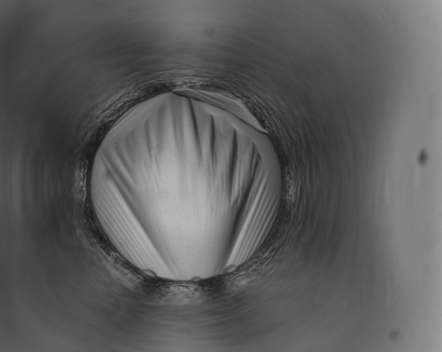 X0000094380666200711242023