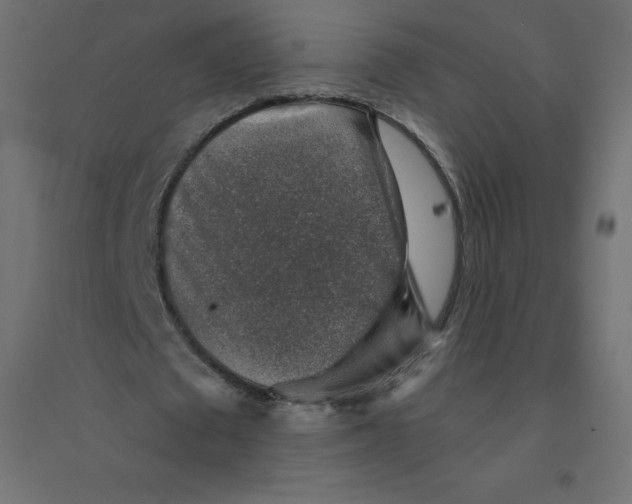 X0000094380673200711242023