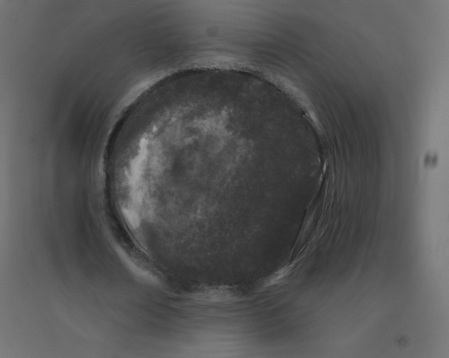 X0000094380674200711242023