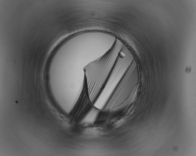 X0000094380676200711242023