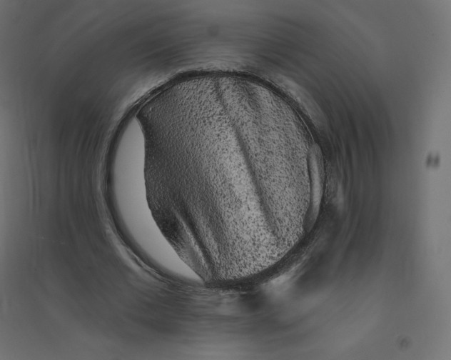 X0000094380677200711242023