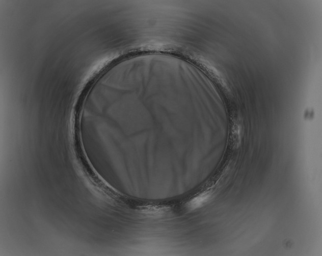 X0000094380678200711242023