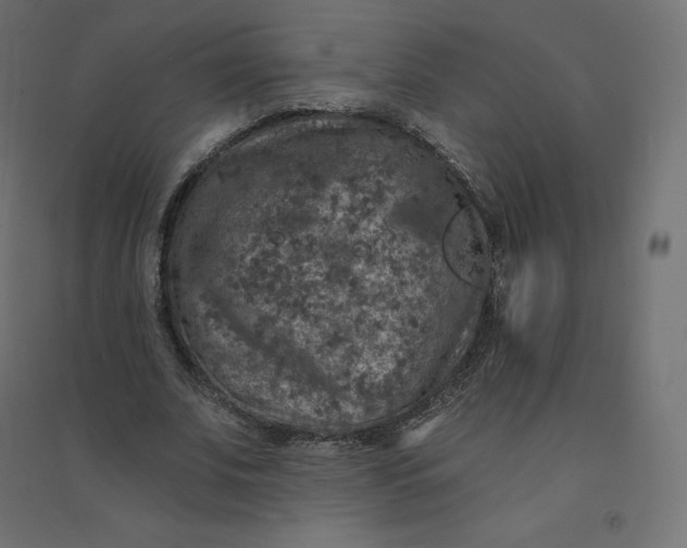 X0000094380679200711242023
