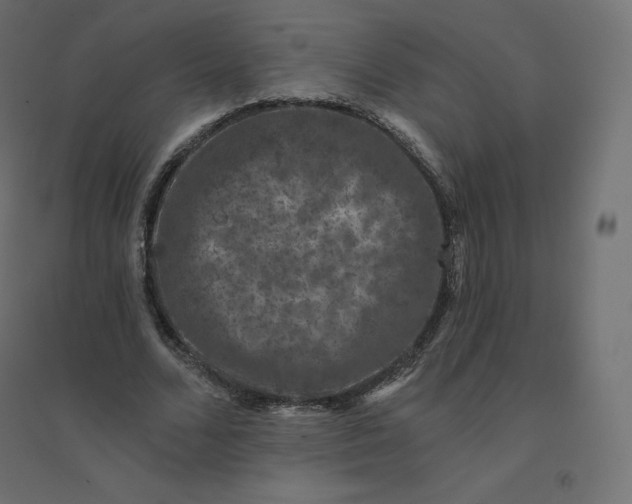 X0000094380680200711242023