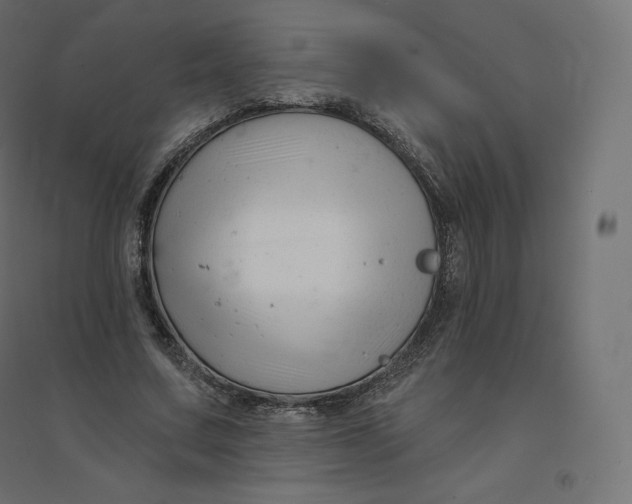 X0000094380683200711242023