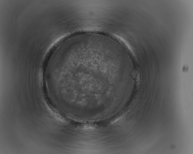 X0000094380684200711242023