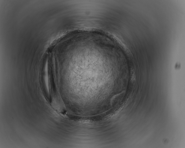 X0000094380685200711242023
