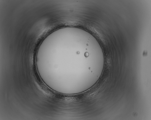 X0000094380686200711242023