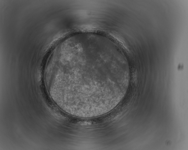 X0000094380687200711242023