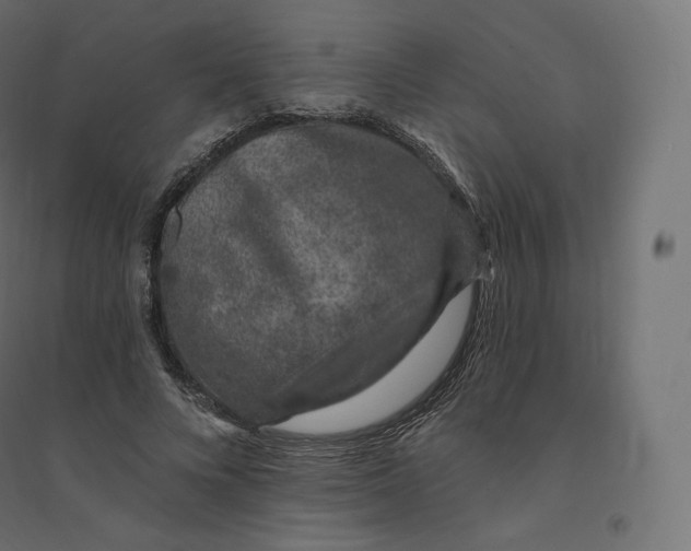 X0000094380688200711242023