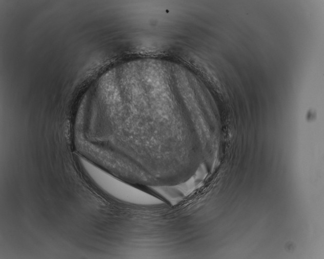 X0000094380689200711242023