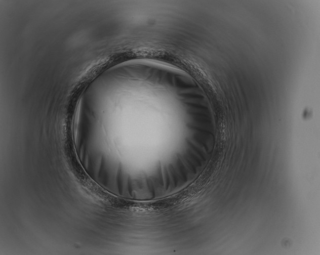 X0000094380690200711242023
