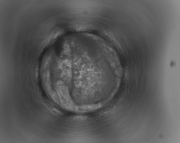 X0000094380691200711242023