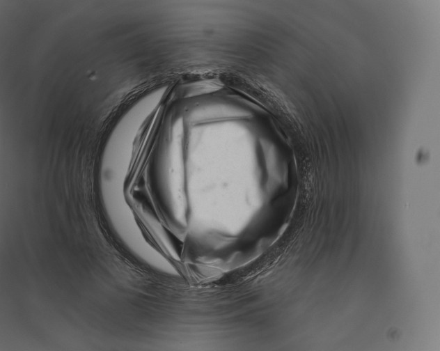 X0000094380693200711242022