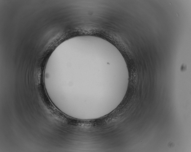 X0000094380694200711242022