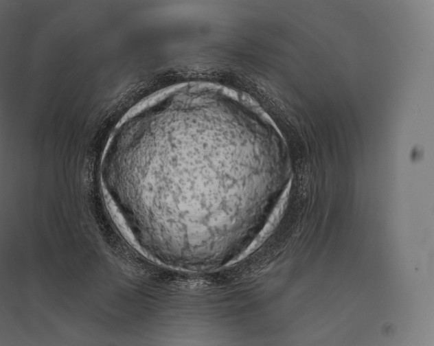 X0000094380695200711242022