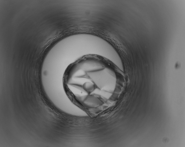 X0000094380696200711242022