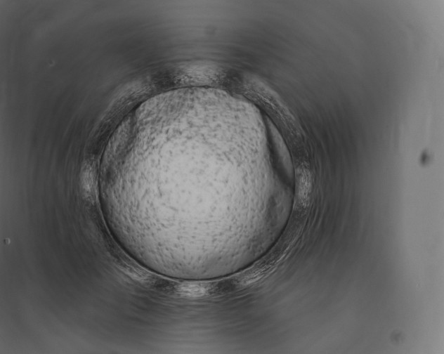 X0000094380701200711242022