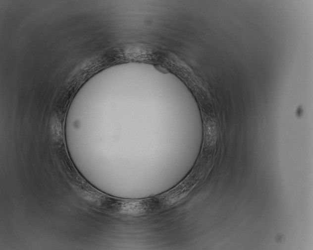 X0000094380705200711242022