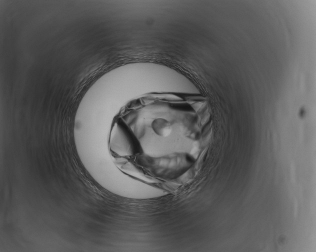 X0000094380720200711242022