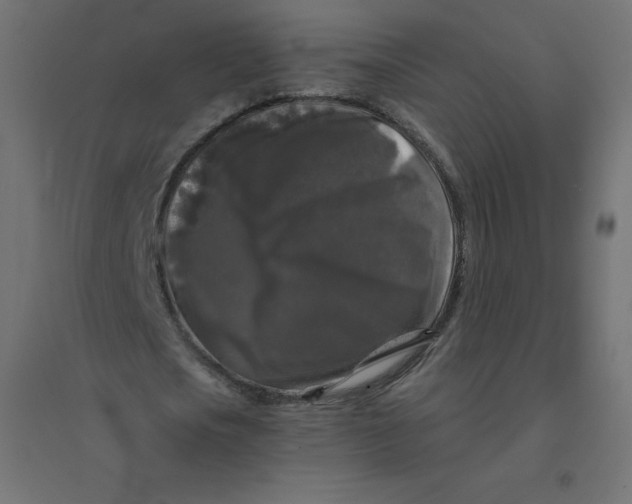 X0000094380721200711242021