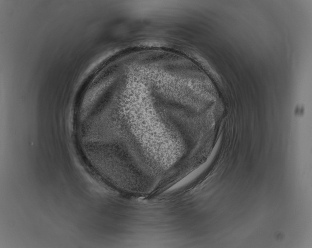 X0000094380722200711242021