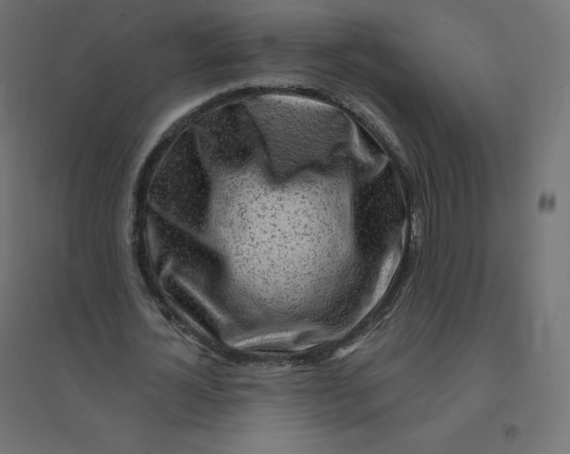 X0000094380724200711242021