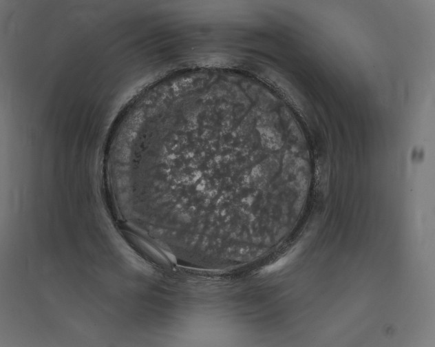 X0000094380725200711242022