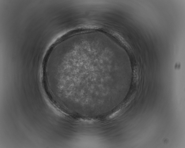 X0000094380726200711242022