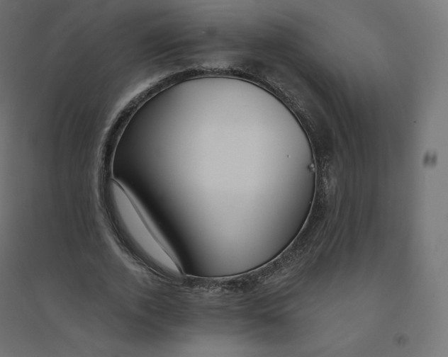 X0000094380728200711242022