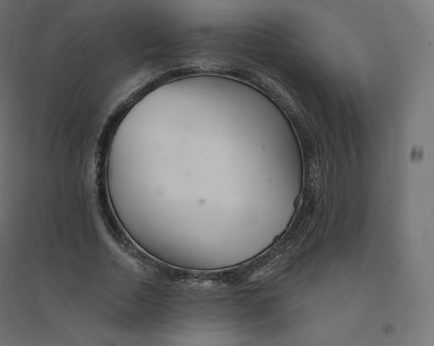 X0000094380730200711242022
