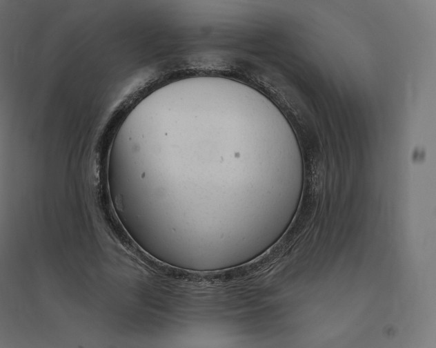 X0000094380731200711242022