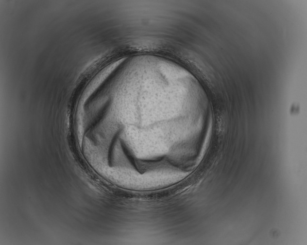 X0000094380733200711242022