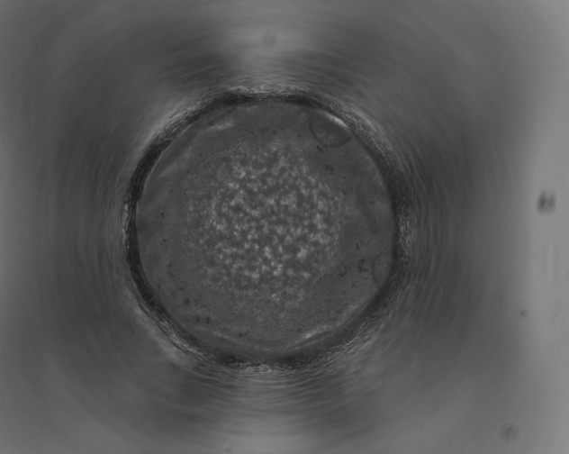 X0000094380735200711242022