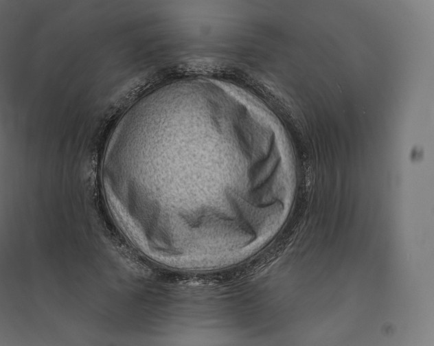 X0000094380737200711242022