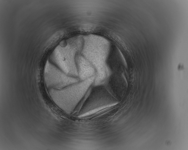X0000094380738200711242022