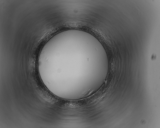 X0000094380739200711242022