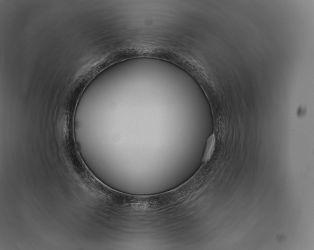X0000094380740200711242022