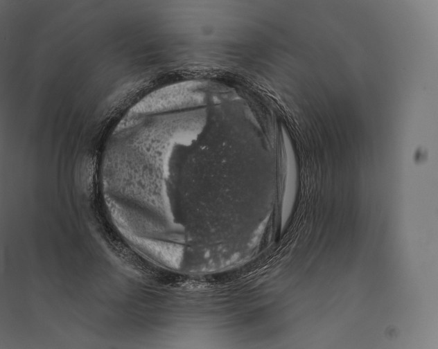 X0000094380742200711242022