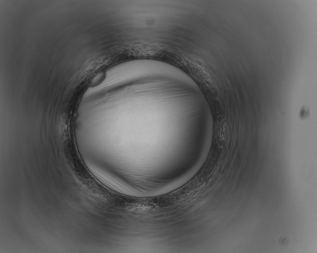 X0000094380743200711242022