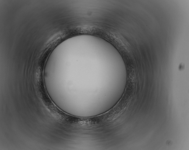 X0000094380744200711242022