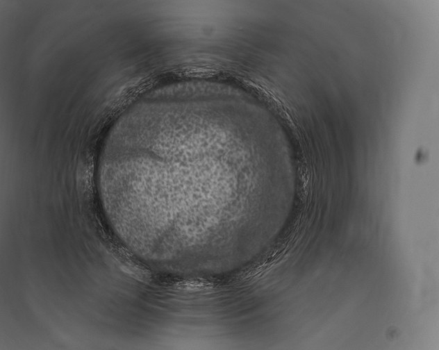 X0000094380745200711242022