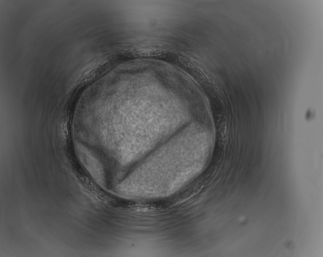 X0000094380746200711242022