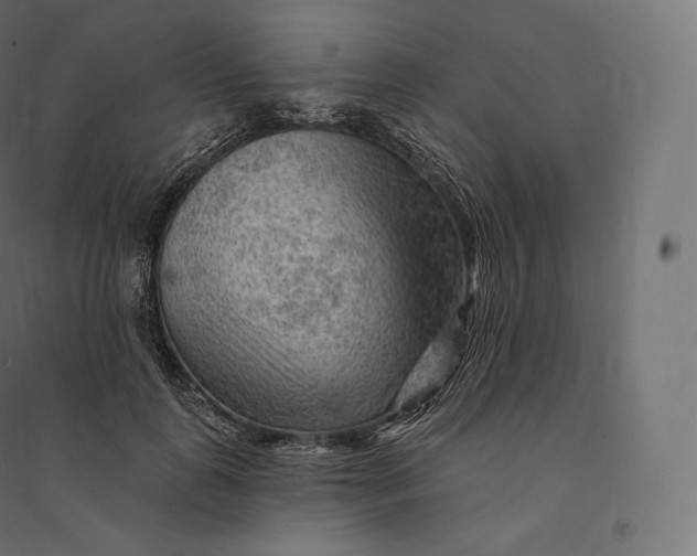 X0000094380747200711242022
