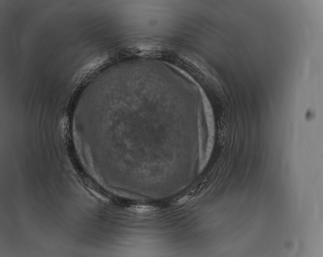 X0000094380748200711242022